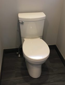 Concealed trapway water closet